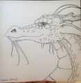Thumbnail for version as of 16:06, 14 March 2020